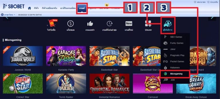 จุดเด่นของค่ายเกม MICROGAMING SBOBET